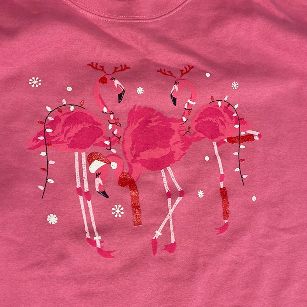 Mallory Ervin’s Living Fully Christmas Fa-La-La Mingo Sweatshirt 3XL